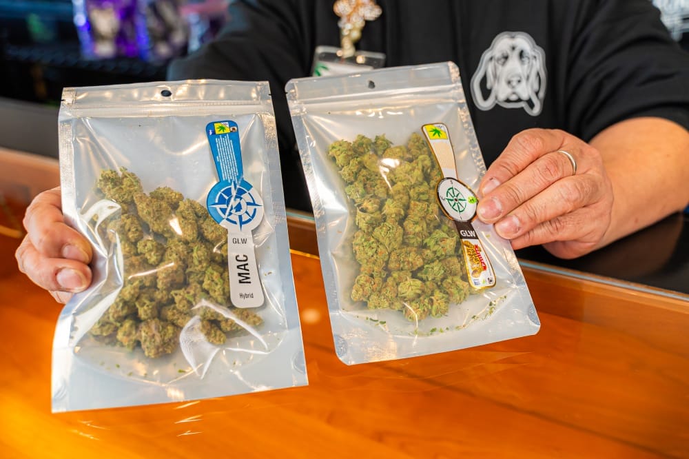 budtender showing customer two different packages of cannabis flower